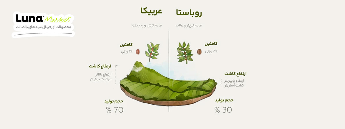 مقایسه قهوه روبوستا با عربیکا
