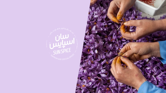 خرید sunspice main banner 02