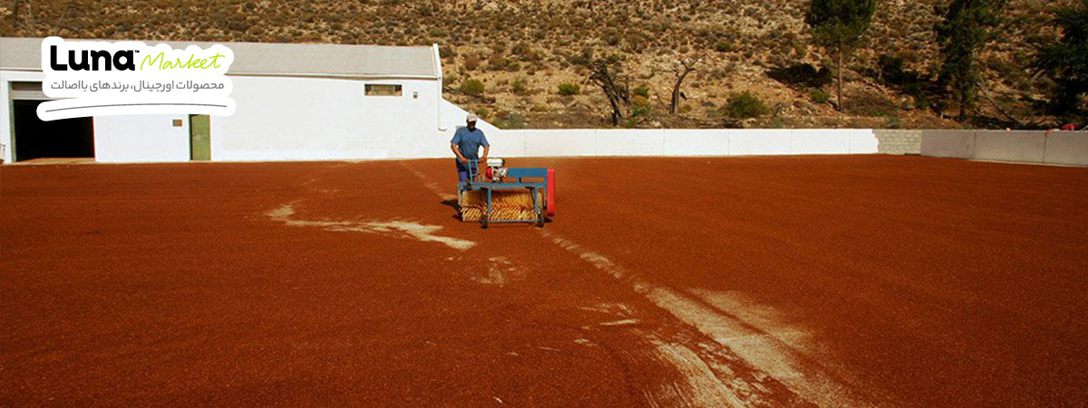 خواص چای رویبوس و ترکیبات آن