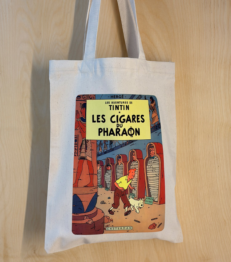 توت بگ کنواس طرح TIN TIN & MUMMY